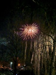 IMG_20250101_000450.jpg