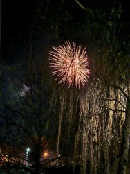 IMG_20250101_000456.jpg