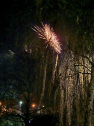 IMG_20250101_000507.jpg