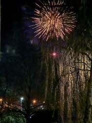 IMG_20250101_000508.jpg