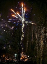 IMG_20250101_124428.jpg