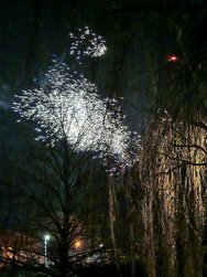 IMG_20250101_125238.jpg
