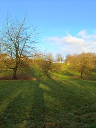 IMG_20250102_094000.jpg