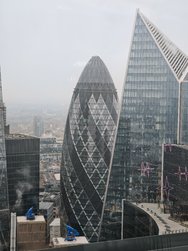 IMG_20241228_114642.jpg