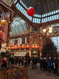 IMG_20241228_125141.jpg