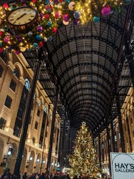 IMG_20241228_190728.jpg