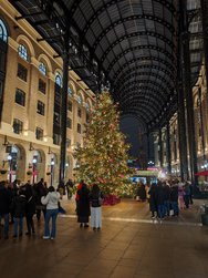 IMG_20241228_190839.jpg