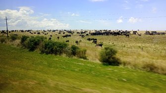 IMG_20250102_121025.jpg