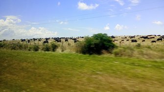 IMG_20250102_121027.jpg