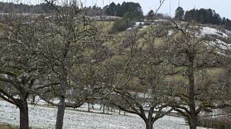 IMG20250104132938.jpg