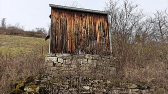 IMG20250104140937.jpg