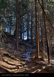 IMG_20250104_115829.jpg