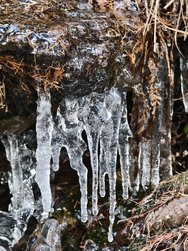 IMG_20250104_120128.jpg