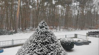 IMG_20250105_093713.jpg