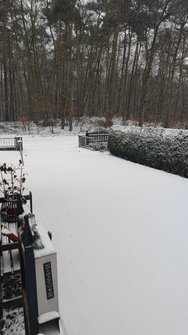 IMG_20250105_093617.jpg