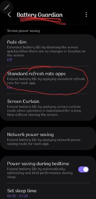 Screenshot_20250106_172213_Battery Guardian.jpg