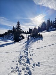 IMG_20250106_193904.jpg