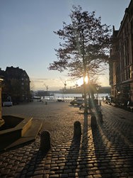 IMG_20250107_093249_1.jpg