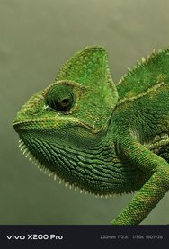 IMG_20250104_145906.jpg