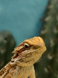 IMG_20250104_145429.jpg