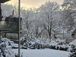 20241122_074855.jpg