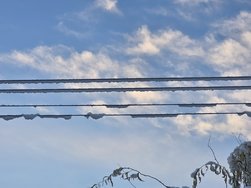 20241122_080846.jpg