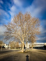 20241225_150445_RAW24MP.jpg