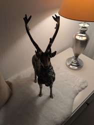PXL_20250108_183207395.jpg