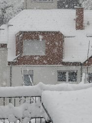 PXL_20250109_122830938.jpg