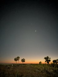 PXL_20250109_235249472.NIGHT.jpg