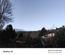 IMG20250110163318.jpg