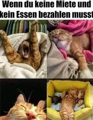 thumbs_picdump916_76.jpg