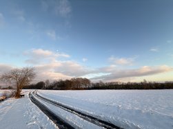 IMG_7239.jpeg