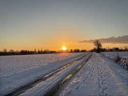 IMG_7242.jpeg