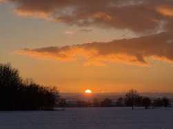 IMG_7251.jpeg