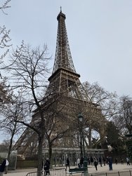 IMG_2378.jpeg