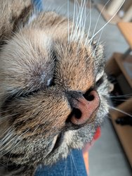 PXL_20250111_114221354.RAW-01.COVER.jpg