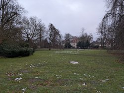 PXL_20250111_153054524.jpg