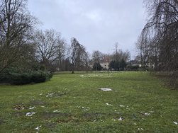 20250111_163059.jpg
