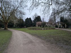 PXL_20250111_153215053.jpg