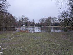 PXL_20250111_153301632.jpg