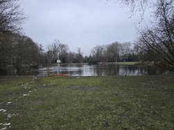 20250111_163308.jpg