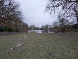 PXL_20250111_153339602.jpg