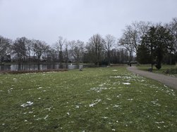 20250111_163526.jpg