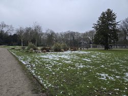 20250111_163559.jpg