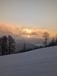 PXL_20250111_074905217.jpg