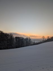 PXL_20250111_074741410.jpg