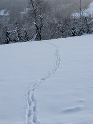 PXL_20250111_075207742.jpg