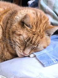 IMG_20250112_134332.jpg