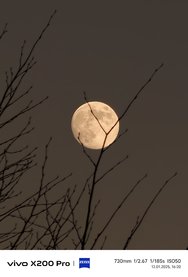 IMG_20250112_162039.jpg